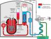 Obieg pierwotny i wtórny oraz chłodzenie reaktora PWR