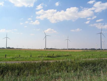Wiatraki w Neuenkirchen w Niemczech - plik z repozytorium wolnych zasobów Wikimedia Commons (http://pl.wikipedia.org/wiki/Plik:WEAs_in_Neuenkirchen.JPG)