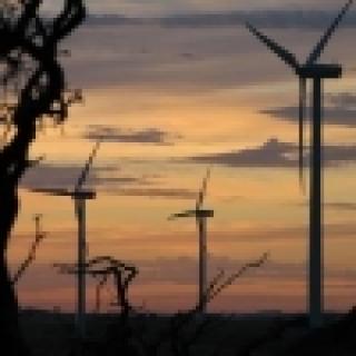Droga energia z wiatraków